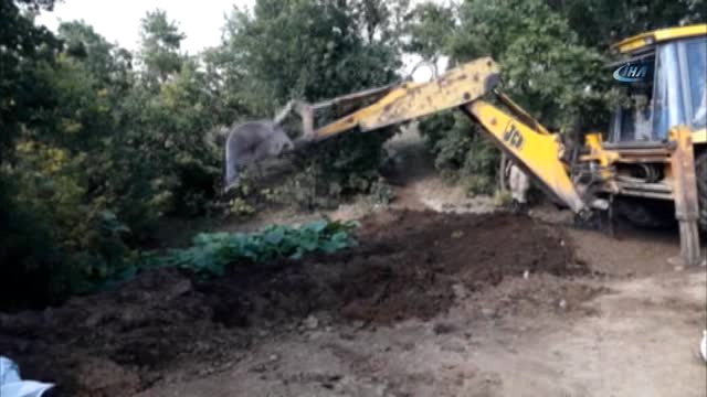 Evrim’in Kaybolduğu Çadırın Çevresindeki Gübrelik Kepçe ile Kazılarak Arandı