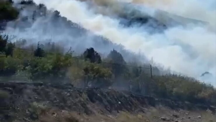 Tokat’ın Turhal ilçesinde orman yangını söndürüldü