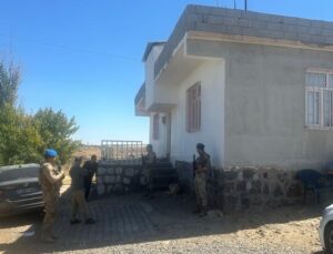 Narin cinayeti: Kim, nerede, nasıl ve neden öldürdü?