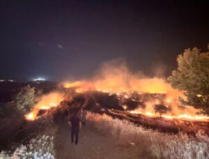 Hatay’da anızda çıkıp zeytin bahçelerine sıçrayan yangın kontrol altına alındı